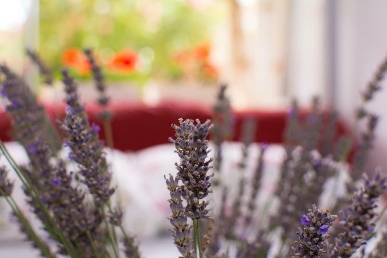 Apartment Vida - Amazing Place With Garden And Terrace Rijeka Exterior foto